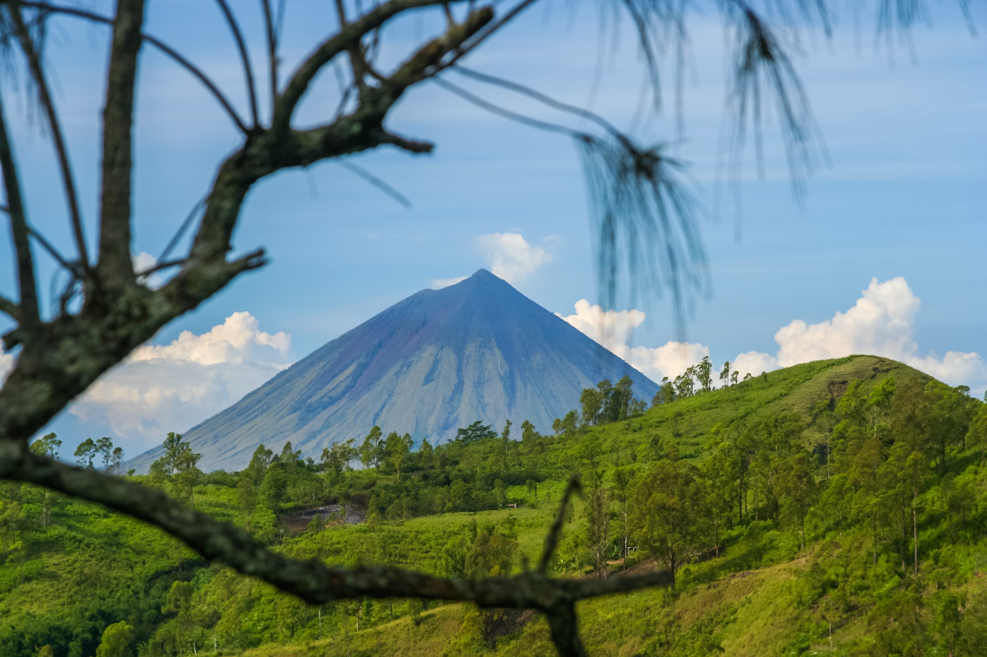 Kintamani