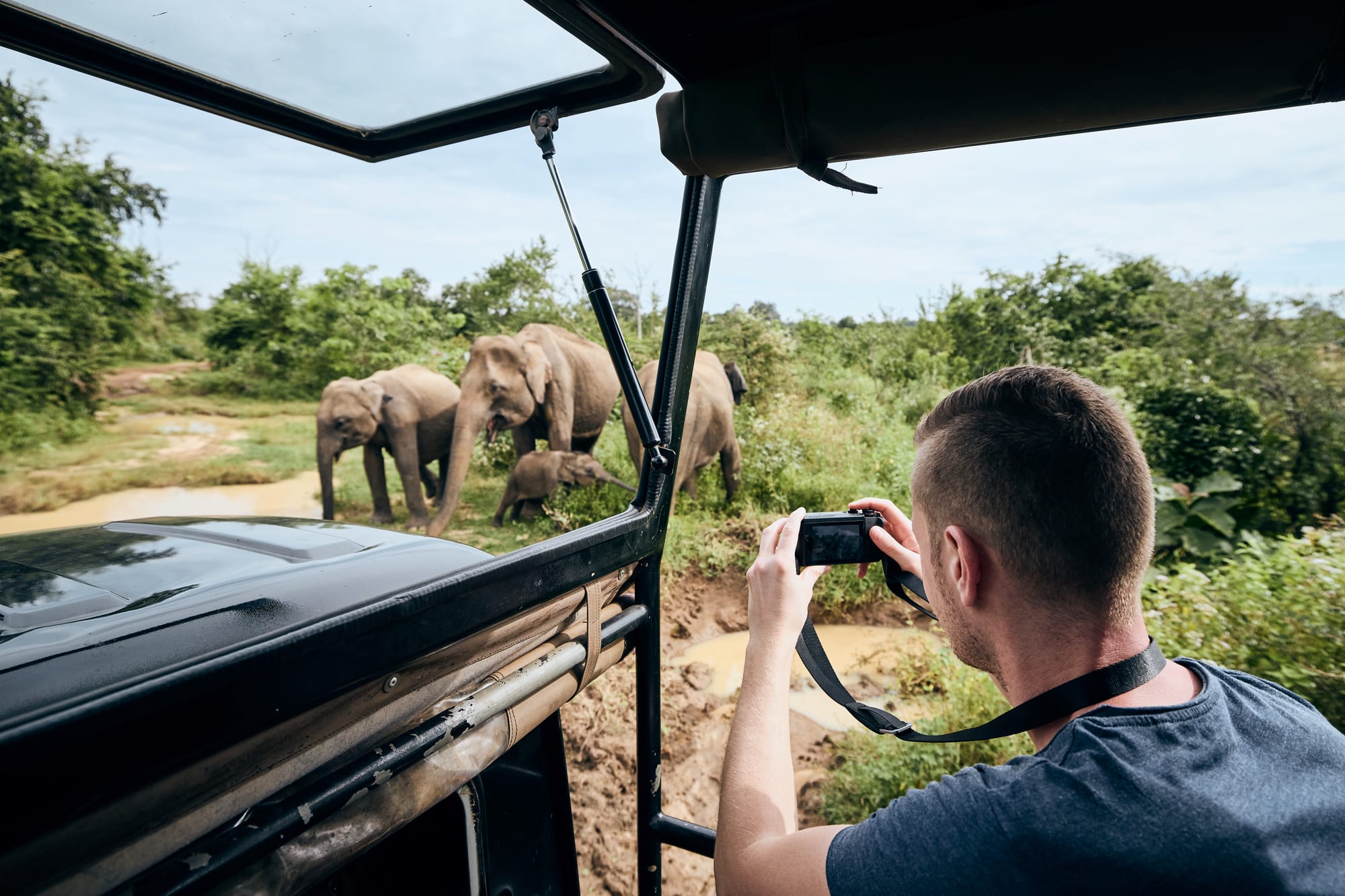 Wildlife & Safari